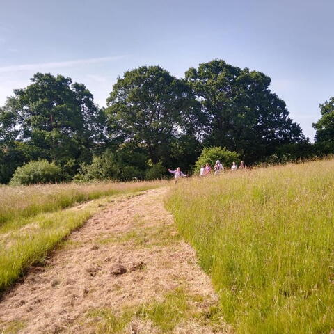 Walking Ross to Little Dewchurch