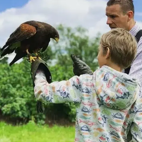 Falconry