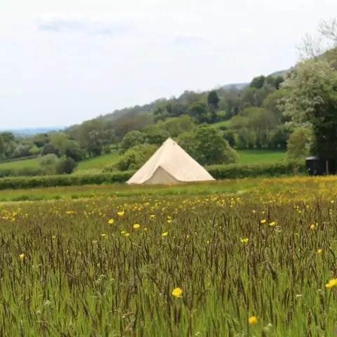 Chapel House Farm campsite