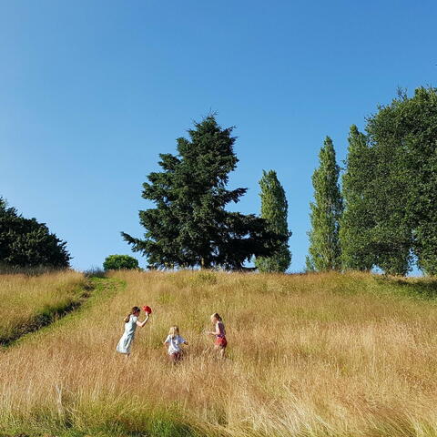 Meadow at Ryeford Ponds