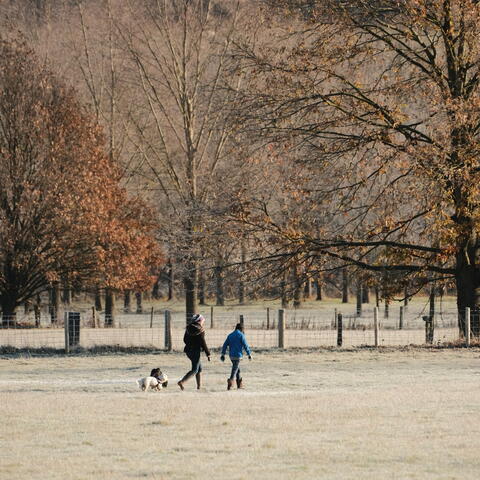 Walking in park