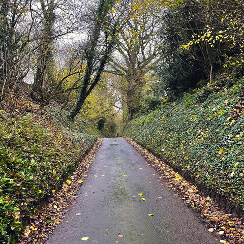 Leintwardine track road