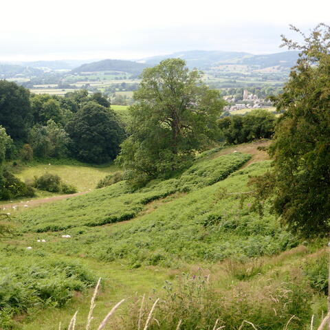 View to Leintwardine