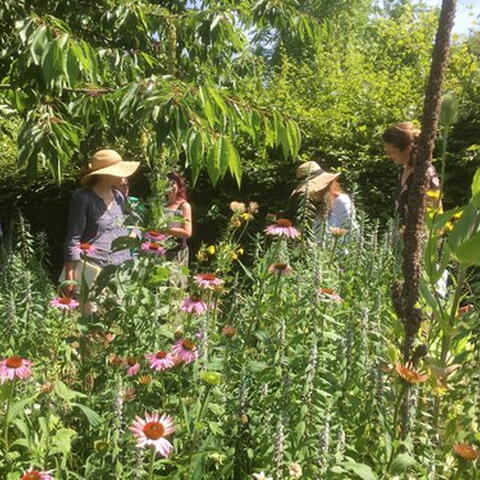 Garden at Rowan McOnegal Medicine