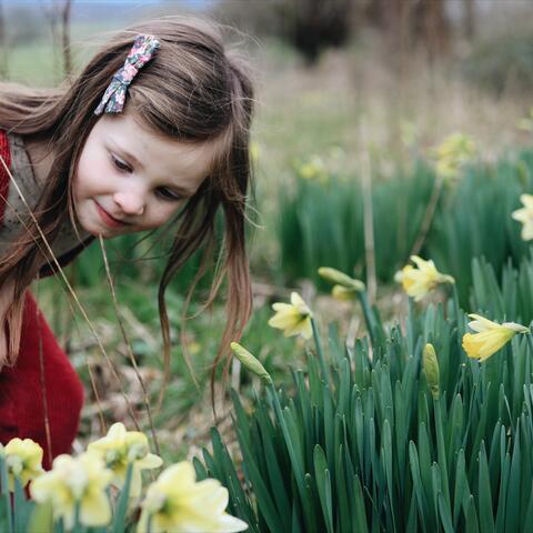 Girl with daffodils