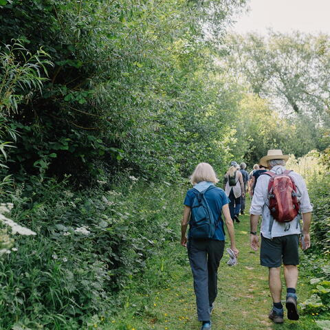 On the Trail