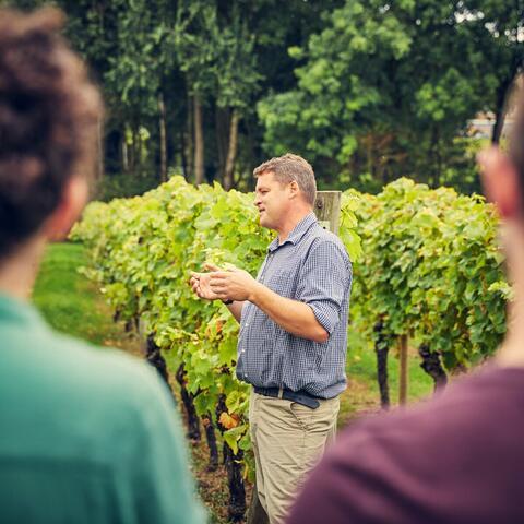 Wine talk in the vineyard at coddington