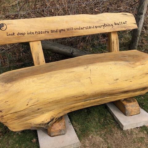 a carved bench