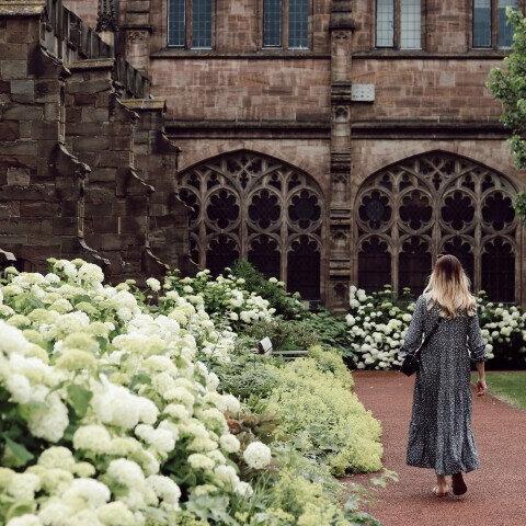 Woman walking past the hydrangeas at hereford cathedral