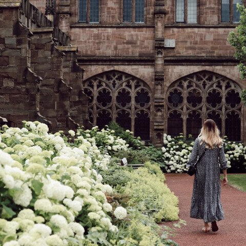 Woman walking past the hydrangeas at hereford cathedral