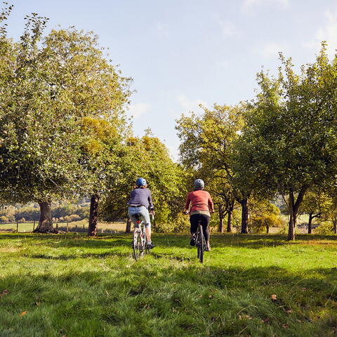 cycling through the orchard