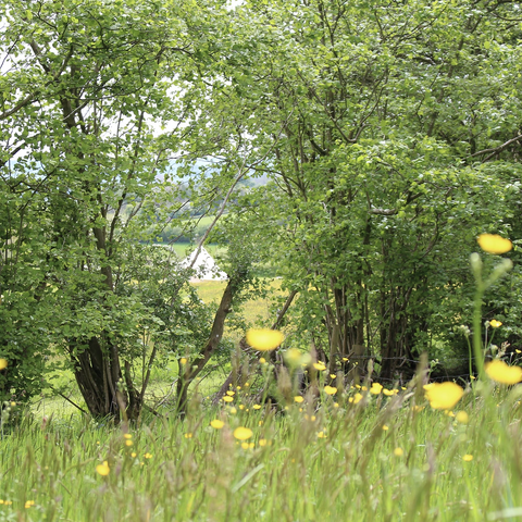 Chapel House Farm