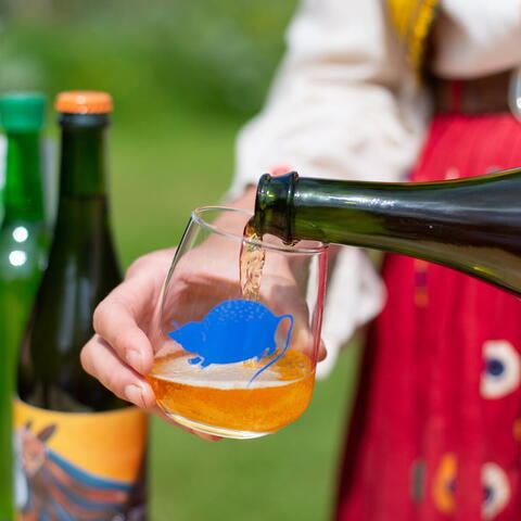 pouring a glass of cider