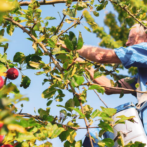 butford organics