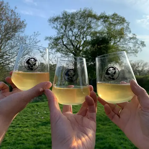 Glasses of cider