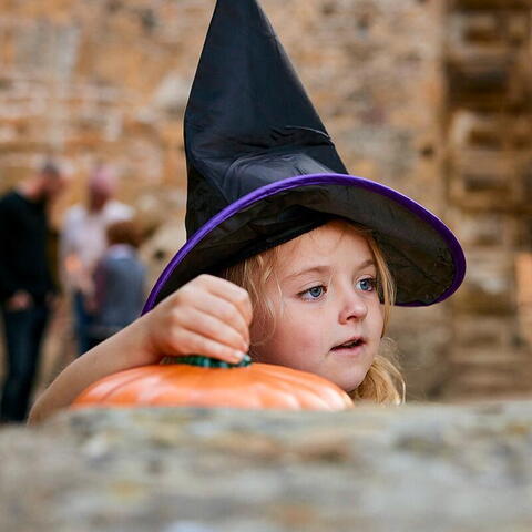 Goodrich Castle