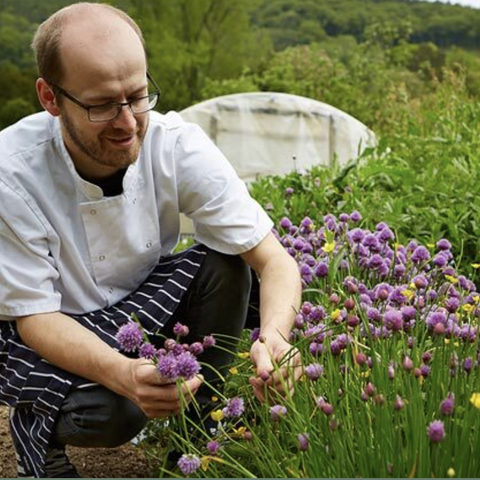 Chef Andy Link picking chives