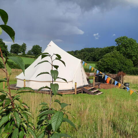 white teepee tent in field surrounded by trees