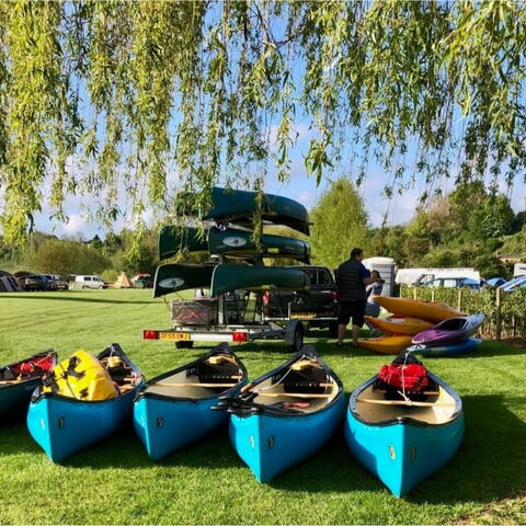 canoes lined up under a tree in a field on a sunny day 