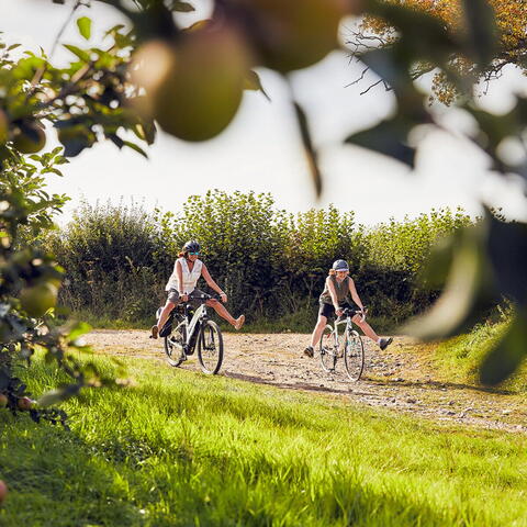 Cycling tour at White Heron Vineyard