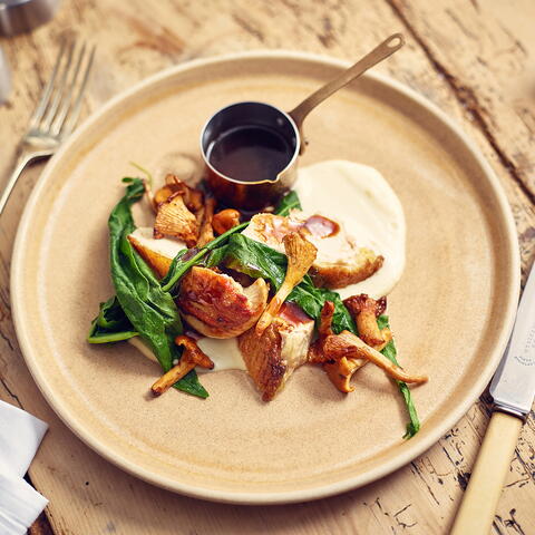 Plate of wild mushrooms