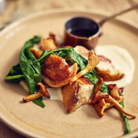 Plate of wild mushrooms