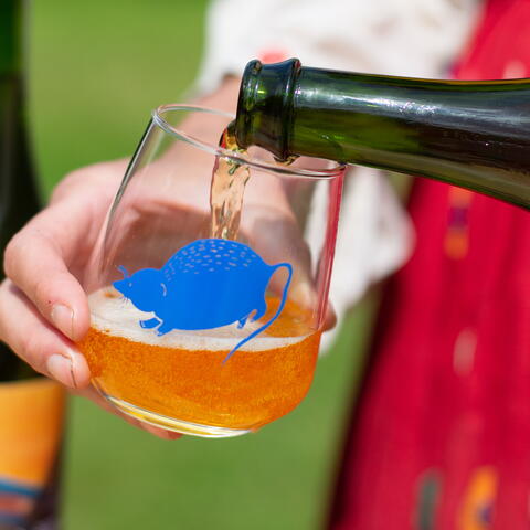 cider