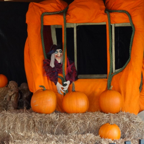Halloween