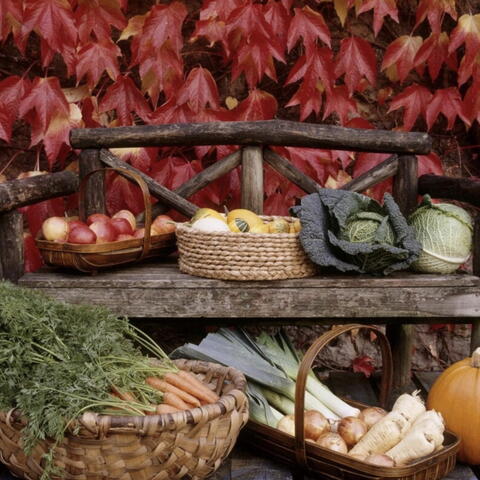harvest
