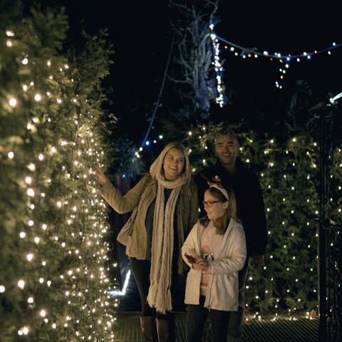 Family enjoying festive lights at Ralph Court Gardens