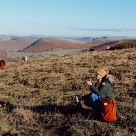Woman drinking tea atop hilly landscape with wild ponies in background