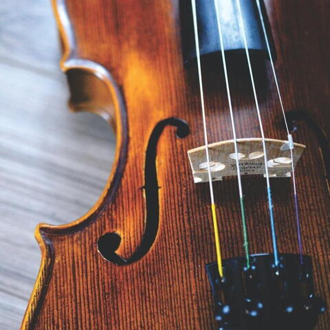 Violin