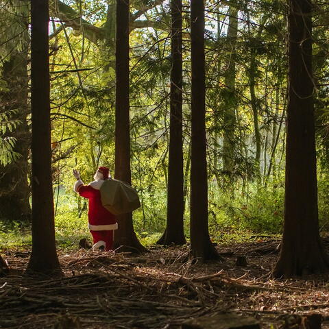 Santa in the forrest