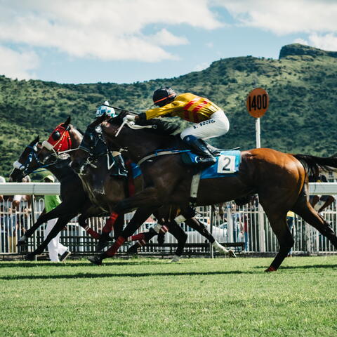 Horse Racing