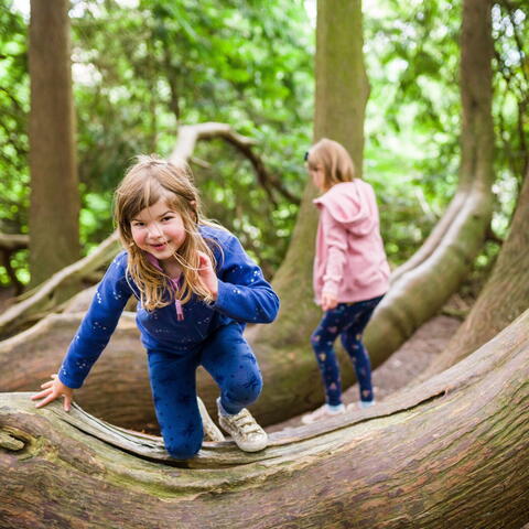 2 Girls climbing over trees