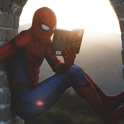 Spiderman Reading a Book
