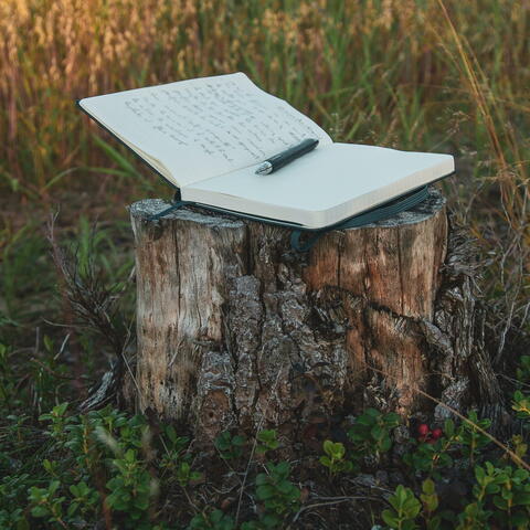 Note book on a wood stump