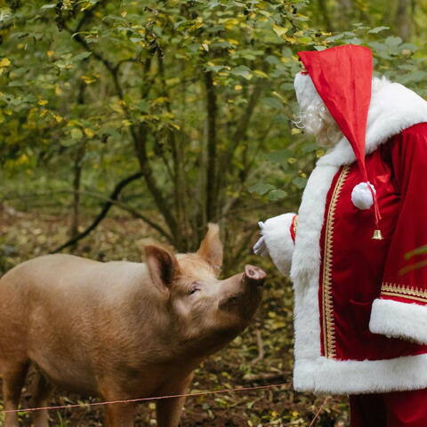 CHristmas Dinner