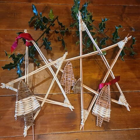 2 willow stars
