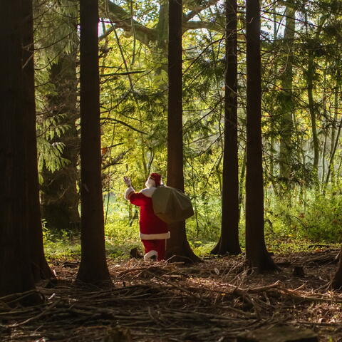 Santa in the woods