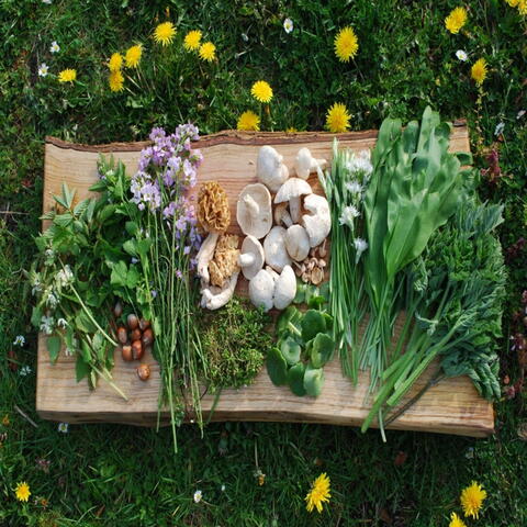 Foraged food