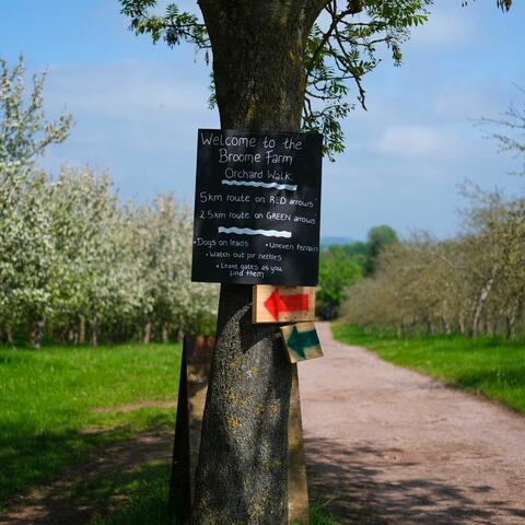 Orchard walk sign on tree
