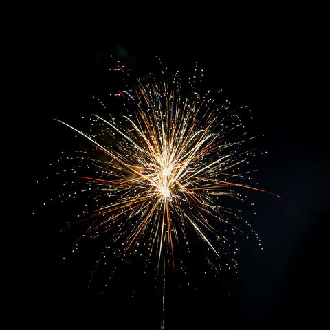 Firework