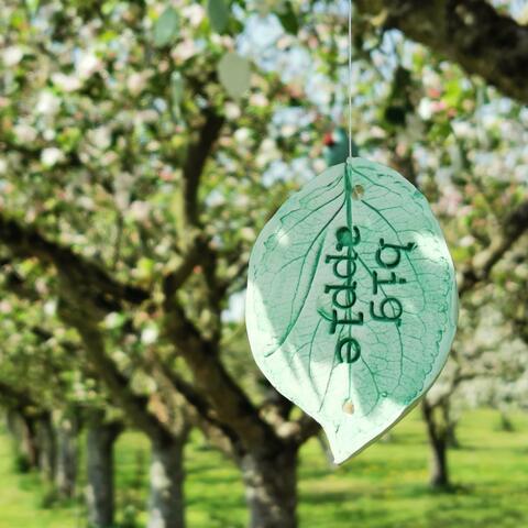 Big Apple tag hanging from apply tree branches