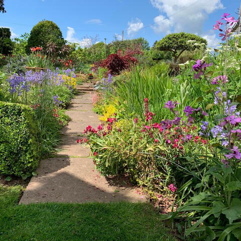 Beautiful open garden