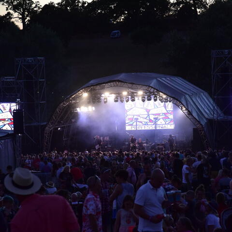 Crowd around a stage enjoying the music