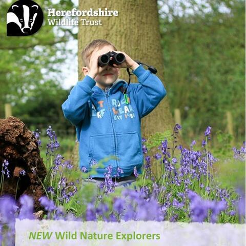 Child with binoculars in bluebell wood