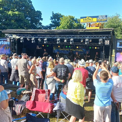 Linton Festival crowds