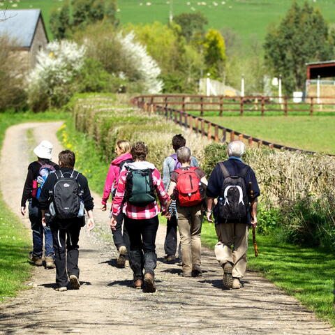 Group of walkers in rural surroundings