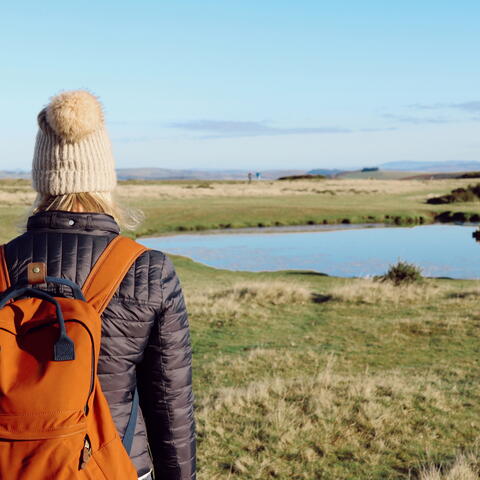 hergest ridge